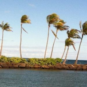 Meet your Posher, Lynne